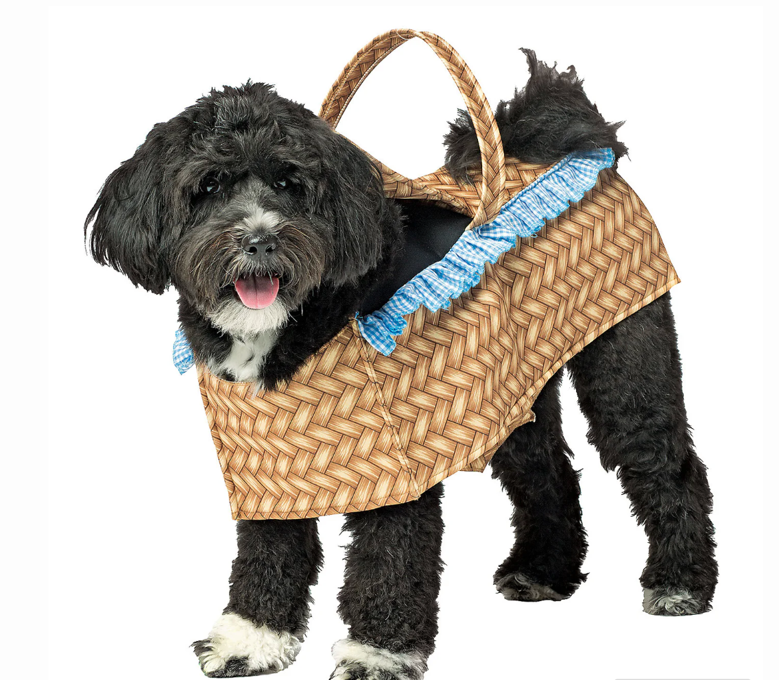 Basket Costume, Pet Fun