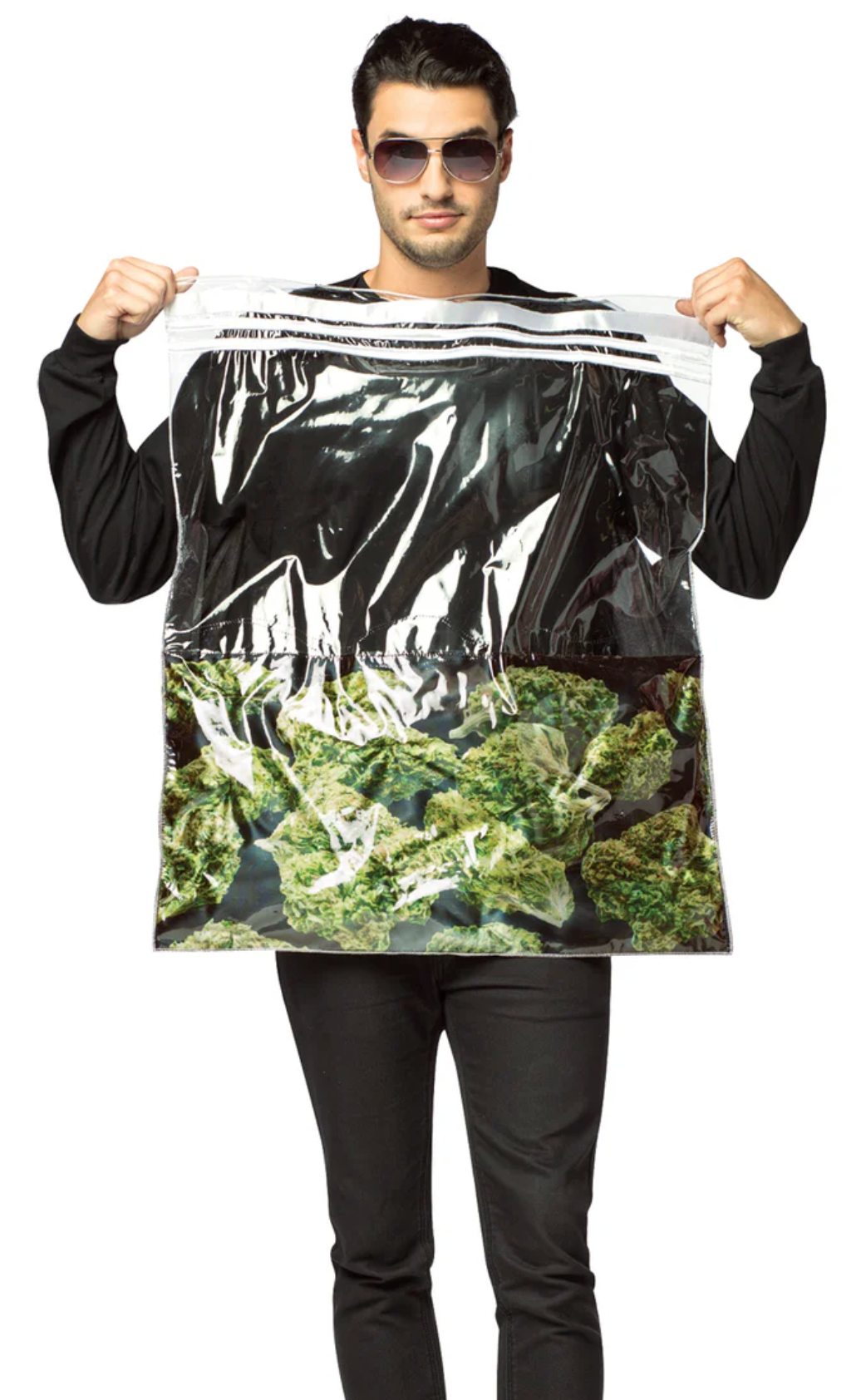 A Bold Statement: Bag of Weed Costume