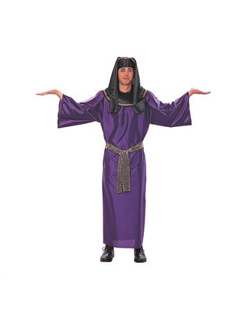 Adult Pharaoh Costume | Purple | Costume-Shop.com