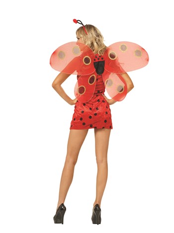 Sexy Ladybug Red Dress with Wings | Costume-Shop.com