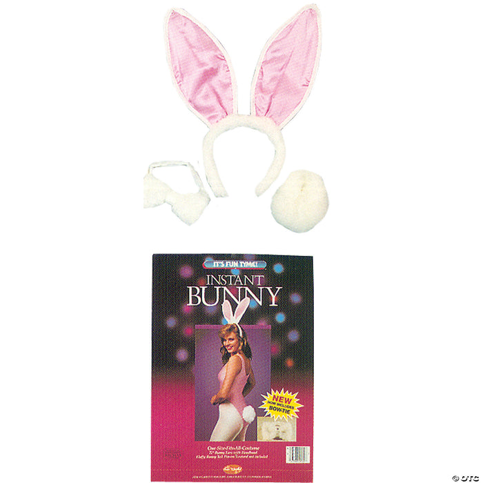 Hop Into Fun! Bunny Costume Kit  | Costume-Shop.com