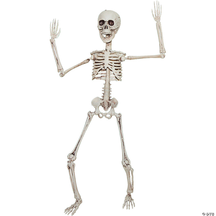 19" Poseable Skeleton Decoration